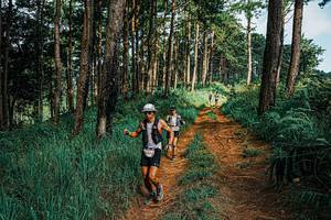 BIB: 
                            <button type="button" onclick="openModal(25653792)" class="btn btn-primary btn-sm float-right btn-popup" data-toggle="modal" data-target=".modal-high-quality">
                        <i class="fas fa-shopping-cart"></i> Add to Cart
                    </button>
                                            <button type="button" onclick="isThisMe(25653792, true)" class="btn btn-success btn-sm float-right btn-popup btn-isme hidden" data-toggle="tooltip" data-placement="bottom" title="นี่คือรูปของคุณใช่ไหม คลิกที่นี่เพื่อเอาเข้าอัลบั้ม">
                        <i class="fas fa-plus"></i> Add to album
                    </button>
                    <button type="button" onclick="isThisMe(25653792, false)" class="btn btn-warning btn-sm float-right btn-popup btn-isnotme hidden">
                        <i class="fas fa-ban"></i> Remove from album
                    </button>